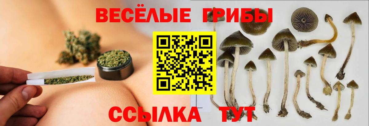 Галлюциногенные грибы мицелий  Вход с VPN  Галлюциногенные грибы мицелий  Моздок 