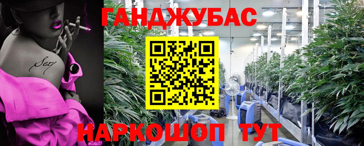 Бошки Шишки марихуана Моздок